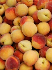 tasty,sweet red and yellow peaches fruits close up