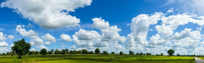 Fototapeta na wymiar Panorama photos nature sky background daytime sky with clouds in the rainy season over the field