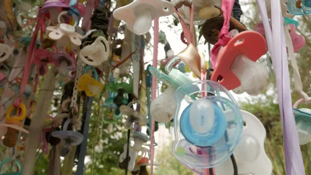 Close Up Of Used Pacifiers Hanging On A Tree. Tradition To Stop Grown Children In Using Dummies. low angle