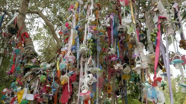 Dummy Tree Culture. Used Pacifiers Tied And Hanging On Tree Branches. low angle