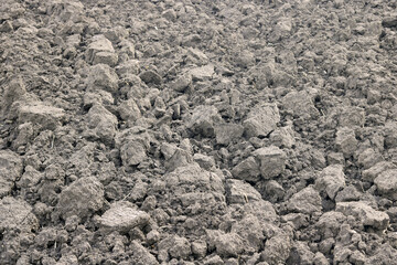 Natural background with fertile black soil