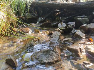 NatureBoy. Kraft der Natur