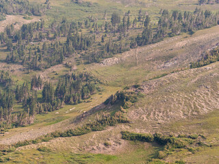 Rocky forest terrain in Colorado. Landscape view with textures