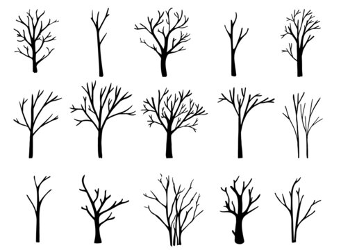 Naked trees silhouettes set. Hand drawn isolated illustrations.