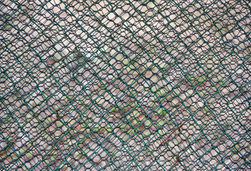 Full frame close-up partial view of a double layered landscape fence with a green chainlink in front and thin wire mesh behind