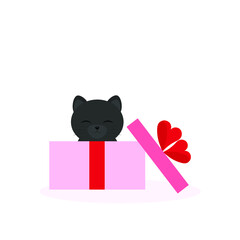 This is a cat in the box. Cute cartoon illustration on a white background.
