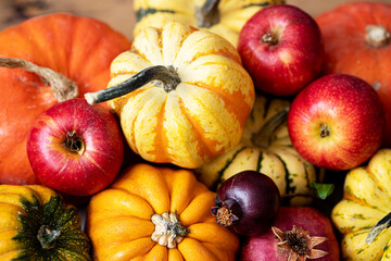 Autumn harvest of apples, pumpkins and pomegranates. Still life with fruits and vegetables