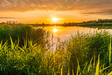 Scenic view at beautiful spring sunset on a shiny lake with green reeds, bushes, grass, golden sun rays, calm water ,deep blue cloudy sky and glow on a background, spring evening landscape