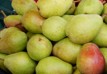sweet,tasty pears from orchard in summer close up