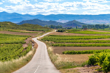 Fototapeta na wymiar Exquisitely beautiful landscapes along the wine route of the Rioja region in Spain.