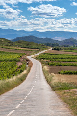 Fototapeta na wymiar Exquisitely beautiful landscapes along the wine route of the Rioja region in Spain.