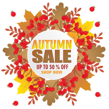 Autumn sale icon isolated on white vector image