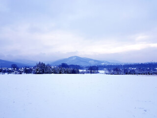 Fototapeta na wymiar Beautiful winter snow landscape background.