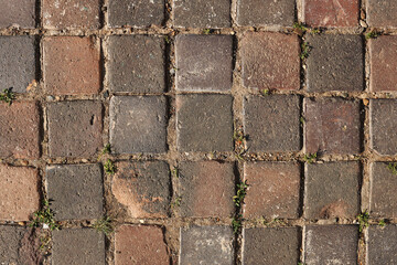 The texture of a stone pavement with sprouted grass