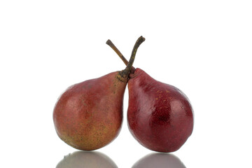 Two ripe red pears, close-up, isolated on white.