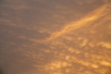 Golden cumulus clouds at sunset