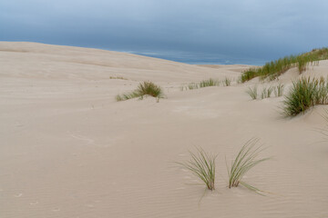 endless wandering sand dunes in Slowinski National Park on the Baltic Sea in northern Poland