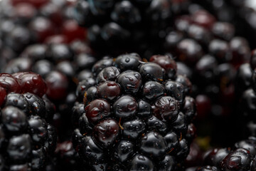 Ripe fresh blackberries, an abstract background of blackberries. Top view. Close-up. Macro. Blackberry berries with water drops. Flat lay. Useful forest fruits. Super food. Concept of healthy eating