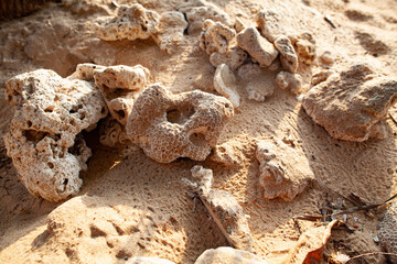 Stones on the yellow sandy beach.
