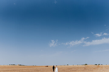 Full body newlyweds walking in a field at distance. Background with Blue sky and plowed field...