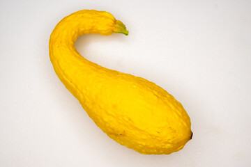Crooked Neck Squash against White