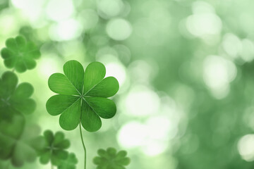 Beautiful fresh green clover leaf on blurred background, space for text
