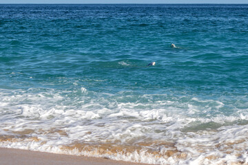 waves on the beach