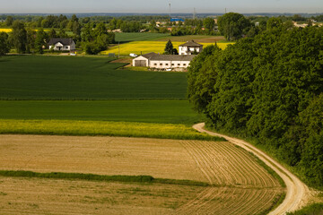 Obraz premium Dirt road on the country. Small road between fields. Landscape of countriside.