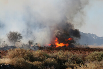 Burning Vineyard, loss of income and damage to property. Black smoke bellowing from the fields with...