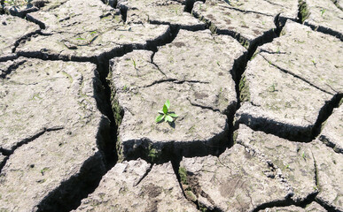 Cracked earth in a severe drought. The unbearable heat.