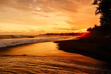 Bright sunset or sunrise with ocean waves and coconut palms on beach