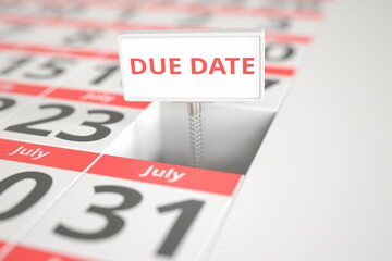 DUE DATE sign on July 24 in a calendar, 3d rendering