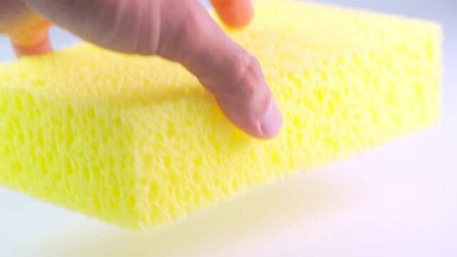 Shower sponge on white background