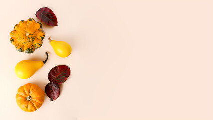 Assortment from pumpkins and red autumn leafs.Concept of the fall harvest and traditions.Large banner with copy space.