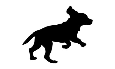 Black dog silhouette. Running and jumping english beagle puppy. Pet animals. Isolated on a white background.