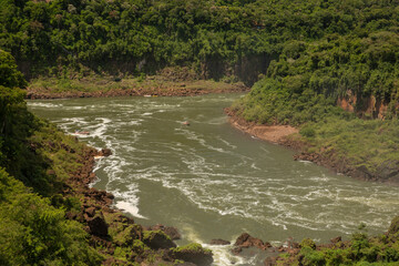Aerial view of the river flowing across the tropical rainforest. 