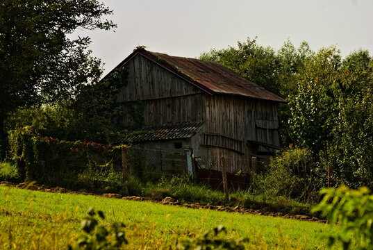  Drewniana , stara stodoła z desek. Dach  - zardzewiała blacha falista . Wooden, old barn made of boards. Roof - rusty corrugated sheet. 