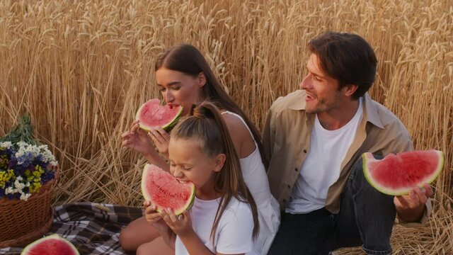 Happy Young Family Of Three Eating Watermelon While Having Picnic In Wheat Field