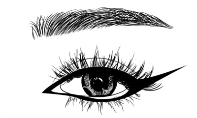 Obraz premium Fashion illustration of the eye with long full lashes. Hand drawn vector idea Natural eyebrows and modern makeup