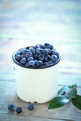 Fototapeta na wymiar Freshly collected blueberries in the metal tin mug. Harvesting foraging bilberries fruit. Camping travel concept. Selective focus
