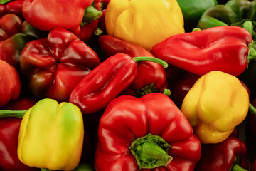 multicolored bulgarian pepper yellow green red