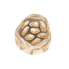 A bag of potatoes. Watercolor illustration.