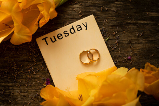 thank you card. Love concept. 