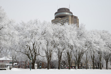 Plain of Abraham in winter in Quebec City