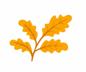 Branch with autumn oak leaves. Yellow foliage. Fallen leaf. Vector cartoon hand-drawn isolated illustration.