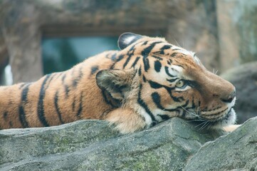 Ishikawa prefecture, Komatsu city, Japan
Ishikawa Zoo Park