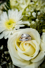 wedding rings on a rose