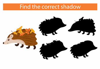 Cartoon hedgehog. Find the right shadow. Vector, cartoon style.