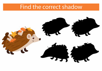 Cartoon hedgehog. Find the right shadow. Vector, cartoon style.