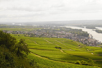 Fototapeta na wymiar Blick auf Rüdesheim vom Niederwalddenkmal aus und ein Blick auf die Weinreben im Rheingau am Rheinsteig